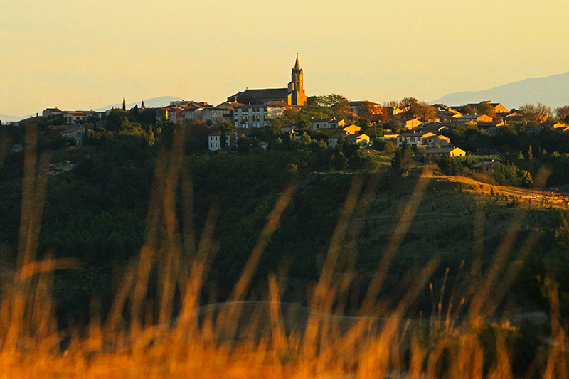 cite medievale fanjeaux