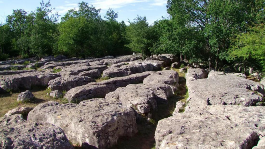 le labyrinthe de nebias