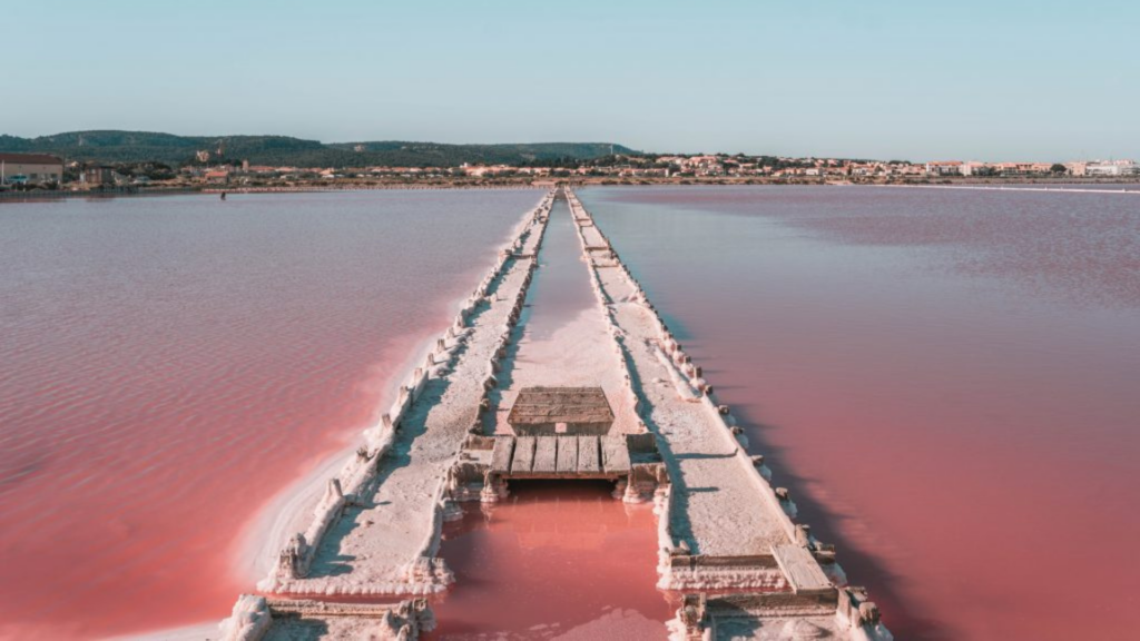 le salin de gruissan 1