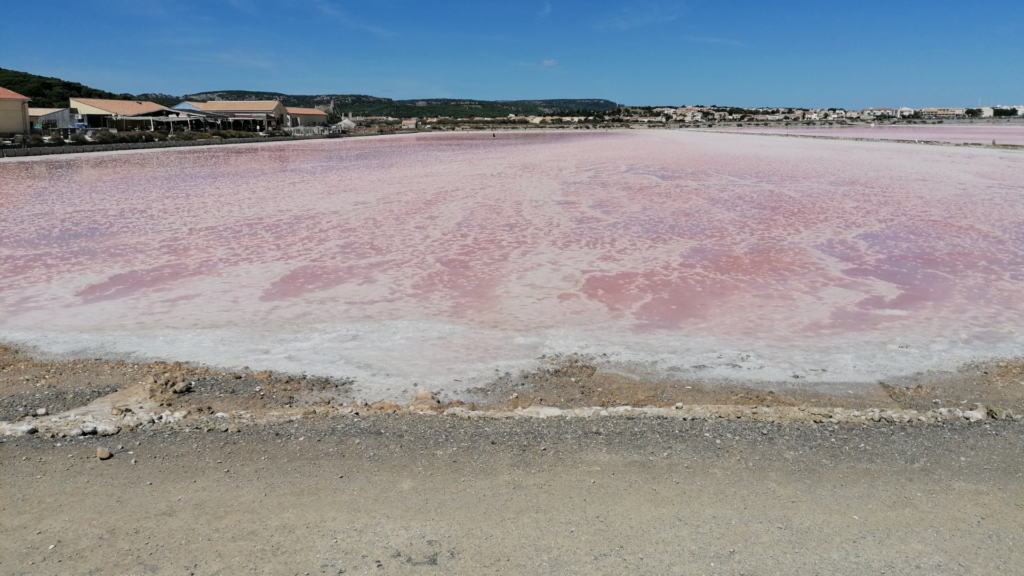 le salin de gruissan 2