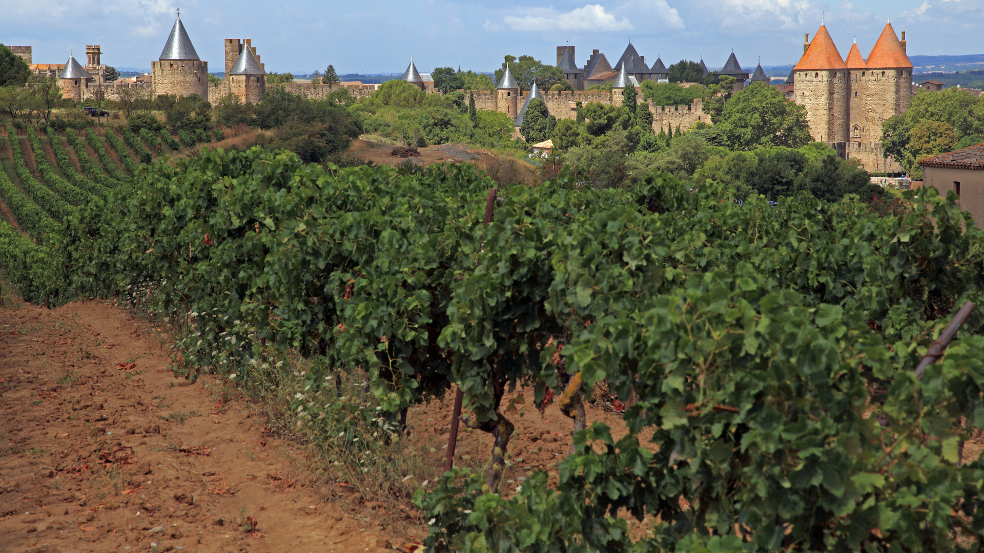Les Appellations d'Origine Contr&ocirc;l&eacute;e (AOC)