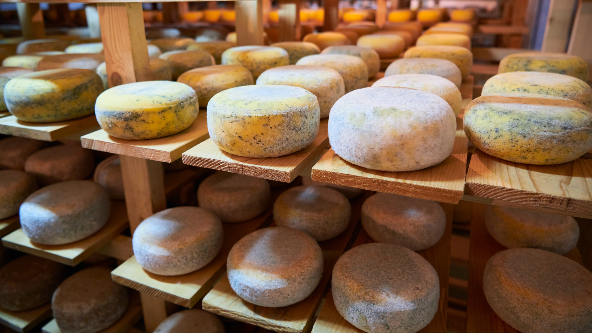 Le bleu des Causses : Douceur &eacute;tonnante et aromatique